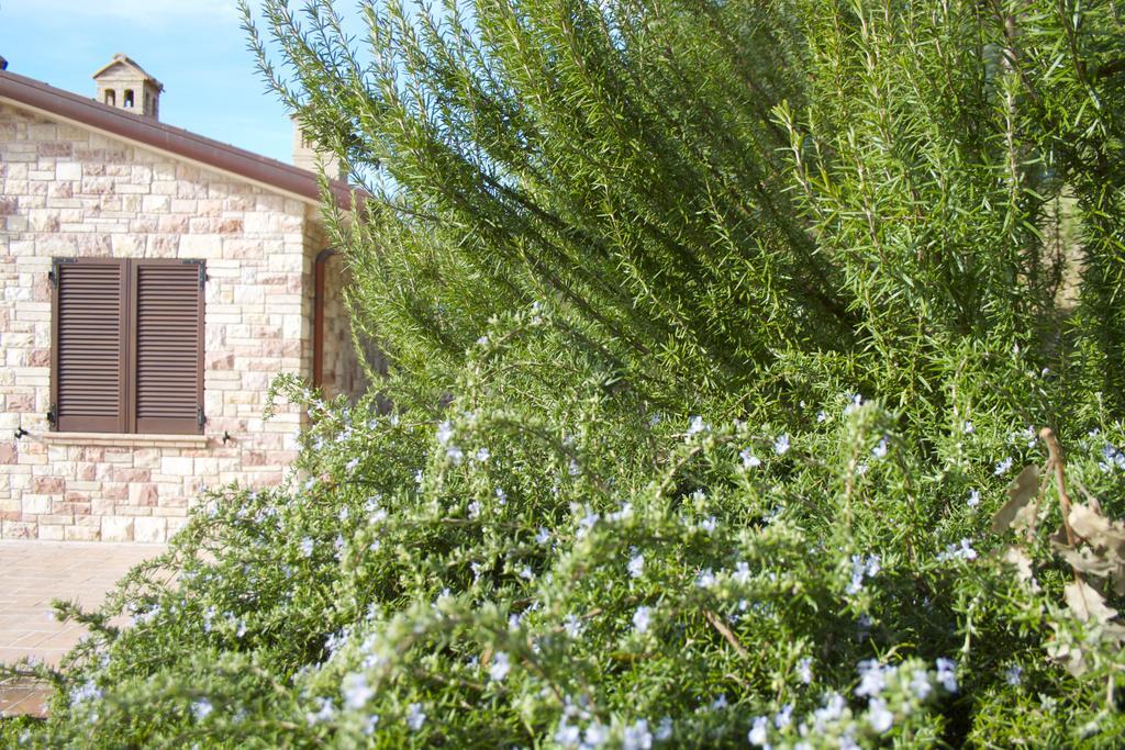 B&B Lavanda E Rosmarino Assisi Dış mekan fotoğraf