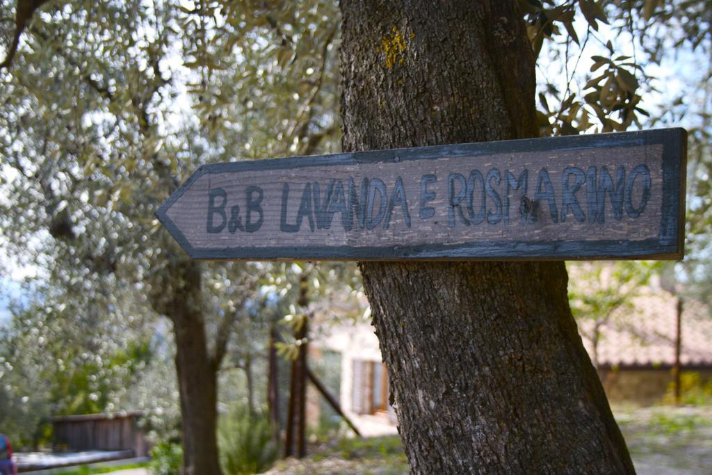 B&B Lavanda E Rosmarino Assisi Dış mekan fotoğraf