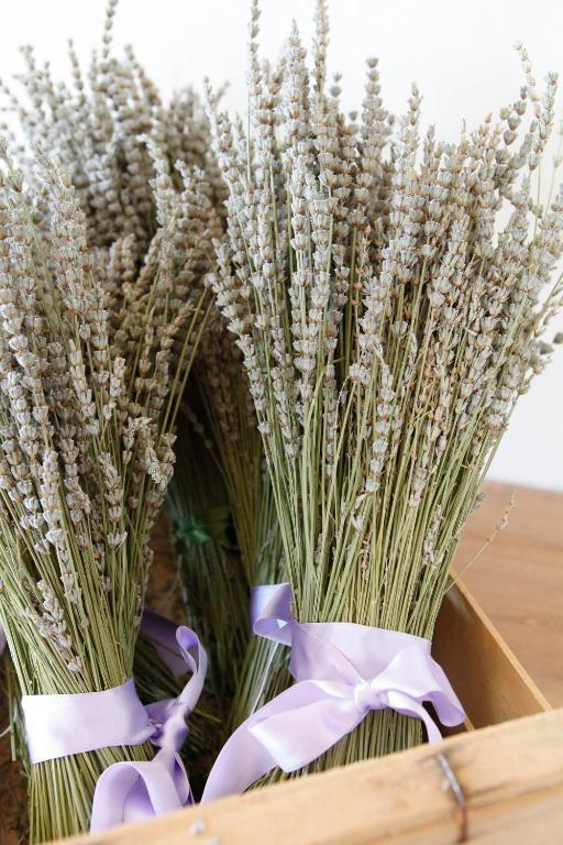 B&B Lavanda E Rosmarino Assisi Dış mekan fotoğraf