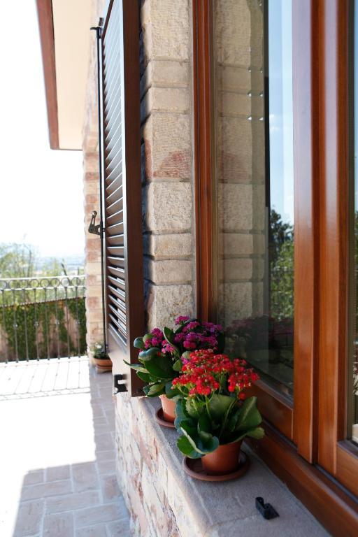 B&B Lavanda E Rosmarino Assisi Dış mekan fotoğraf