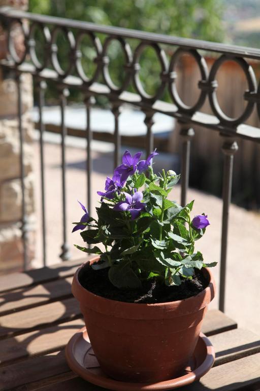 B&B Lavanda E Rosmarino Assisi Dış mekan fotoğraf
