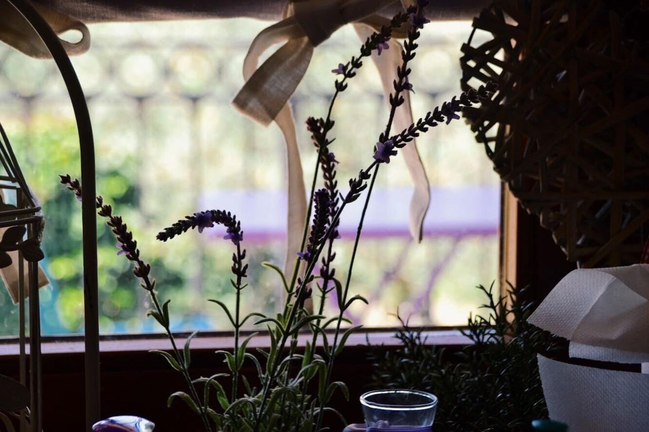 B&B Lavanda E Rosmarino Assisi Dış mekan fotoğraf
